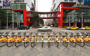 騎腳踏車不怕危險？Youbike傷害險去年上路投保率僅13%