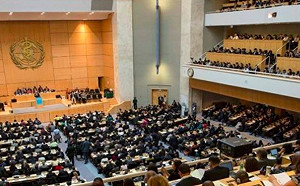 ＷHA邀請函今年可能也不來！衛福部喊要抗議