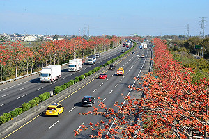 春暖花開！國道休息站也成熱門賞花點