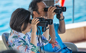 蔡總統：台灣美國日本帛琉都是印太戰略夥伴