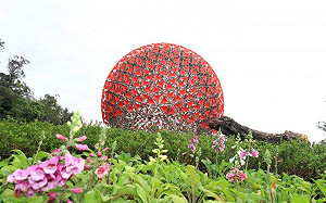 還沒去過的趕緊！台中花博倒數一個月 8大亮點報你知