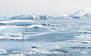 蕭徐行觀點》2020年 大自然反撲的一年