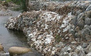 污水排放哪裡最嚴重？一北一南兩縣市上榜