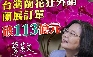 台灣蘭花狂外銷  蔡英文大讚創新高訂單