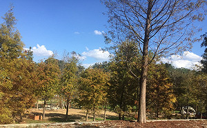 溫暖如夏！全台最高溫飆破33度 週五變天轉涼