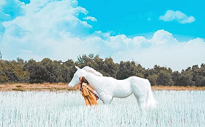 踏進夢幻海島新樂園！台南月牙灣變身超夯打卡熱點