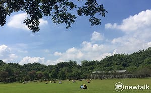 春天就這麼熱！今日高雄中午高溫衝破34度