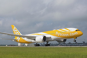 高雄機場旅客需求旺　酷航增班新加坡、大阪天天直飛