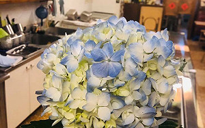 「有個跑去中國晉見天朝的市長」  70年冰店：身為高雄店家很抱歉