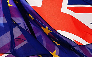 脫歐變成拖歐 英媒諷：比倉鼠一生還長