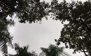 把握早上好天氣！中南部高溫達30度 晚上全台降雨機率高