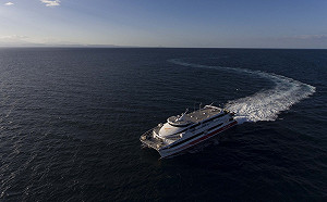 「雲豹號」受限天侯停駛 旅客到港才知旅程泡湯