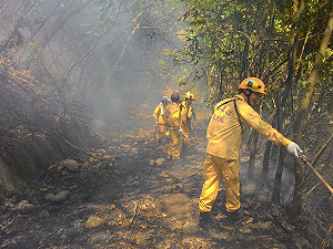 清明祭祖防火警  牢記「4不2記得」
