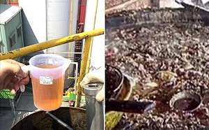 奮戰到底！臉書PO清澈漂亮越南油照 魏應充撇地溝油污名