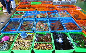 連假就要大啖海鮮　富基魚市大方送龍蝦、石斑魚