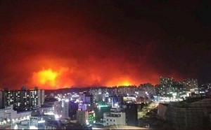 （影）江原道森林大火延燒 南韓：國家級災難