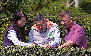 北市擬課空屋稅搶救東區 柯文哲：政策還早還在討論