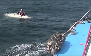 海象不佳帆船救生艇先後翻覆  受困5人順利獲救