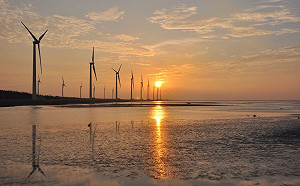 親水活動不宜！高美濕地連3年大腸桿菌超標