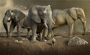 闖國家公園欲獵犀牛角　象獅聯軍發動突襲盜獵者屍骨無存