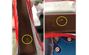 嚇！好市多巧克力驚見「蟲蟲危機」　真相曝光：長知識了