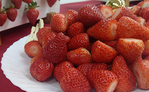 比日本的甜！果實大、形狀美　台灣新種草莓「戀香」問世