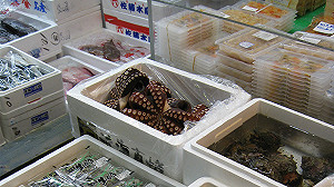 南韓禁日水產品  日媒：美挺日擬合作改革WTO