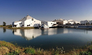 台南打卡的新地標  徐國勇：歡迎國人到台江體驗濕地之美