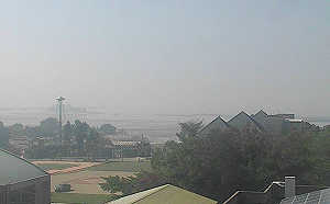 別小看髒空氣的威力！除了肺病這些疾病也與空汙有關