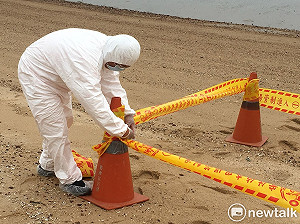 又一隻！金門獅山海灘海漂死豬驗出非洲豬瘟