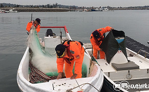 遏止非洲豬瘟不可懈怠！金門岸巡全力強化海陸防堵