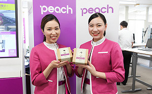 想吃還得提前預約 樂桃、台灣虎航推限定飛機餐