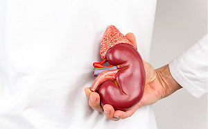 三高藥物吃多超傷腎？專家：不吃反而更傷腎