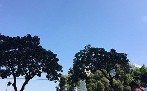 全台高溫狂飆！多縣市熱到紫外線過量級、南投縣直接紫爆