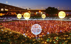 蝴蝶公園美翻了　白天看花海　夜晚浪漫光雕