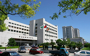 大馬男子因地震遭落石壓住　搶救後恢復心跳、昏迷指數低