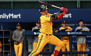 中華職棒／詹子賢單場雙響砲猛打賞　兄弟逆轉猛獅止敗