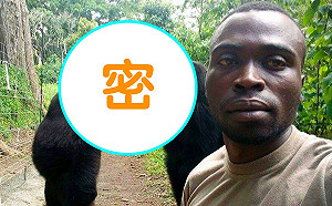 偶像團體？大猩猩「憂鬱臉、手插口袋」自拍　萬人變粉絲