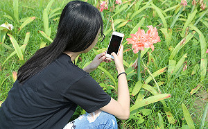 全球城市自然大挑戰！嘉義大學邀全台民眾「記錄生機」