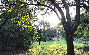 暖熱天氣到週日！梅雨季「最強鋒面」下週二報到全台有雨