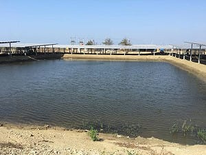 黃偉哲積極推動漁電共生  創造養殖、環境、創能三贏