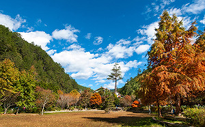 春遊就要這樣玩》桃園、台中必去十大熱門景點看這裡