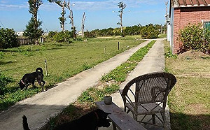 民進黨初選緊繃  羅文嘉臉書憶往事有「弦外之音」