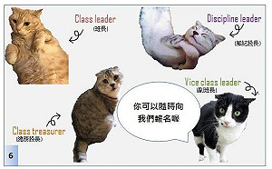 財經部會拚行銷 國發會打貓咪牌財政部吹漫畫風