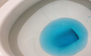 公廁成防疫缺口  研究：病毒隨馬桶沖水飛散停留