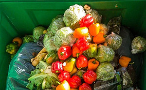 每天浪費將近15萬噸食物！食物浪費大國美國如何解決剩食問題？