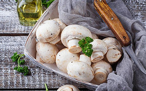 新加坡最新研究：每週食用兩次蘑菇   可保大腦年輕