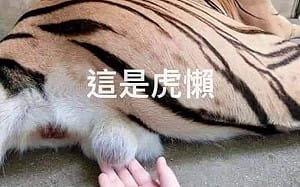 他配圖嘲諷韓國瑜「4點聲明」 翻譯「民調初選關我屁事」