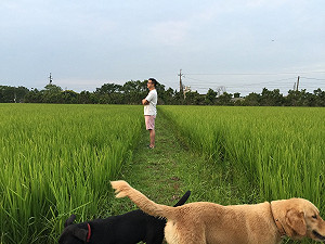 羅文嘉深夜文： 你動用許多力量打擊他  也是沒有用的