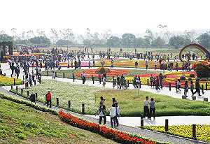花毯節移回新社 洪慈庸嗆逢龍必反 中市府 : 施政無藍、綠之分